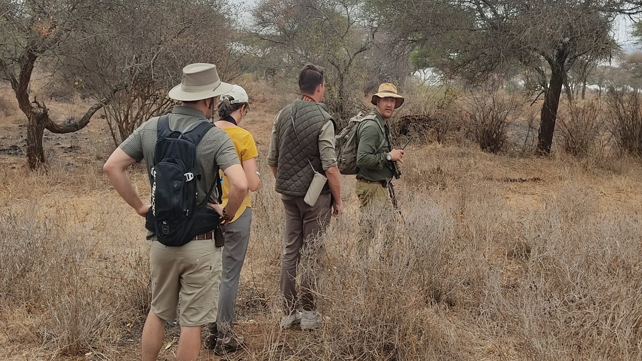 Walking safari