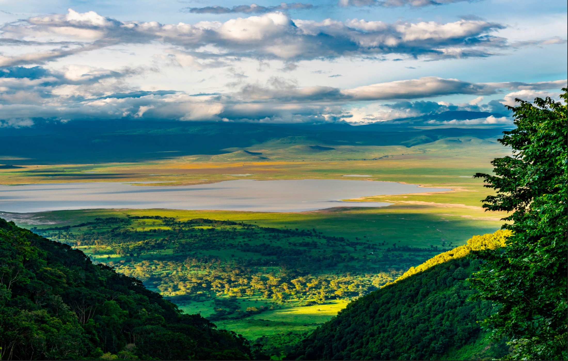Ngorongoro Conservation Area