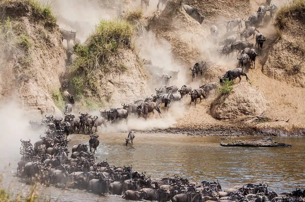Rivers of the Great Migration